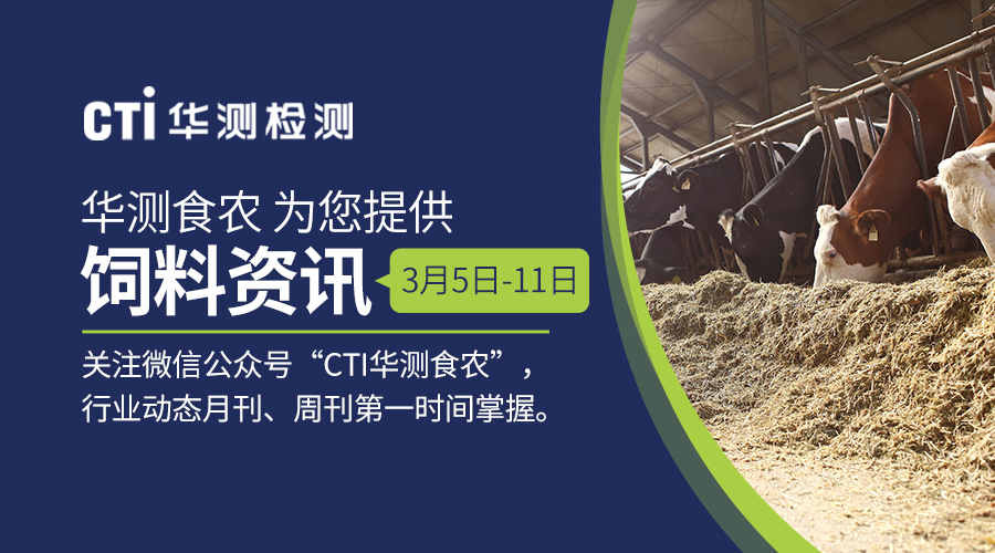 1647397212112825.jpg ·âÃæ-900x500.jpg