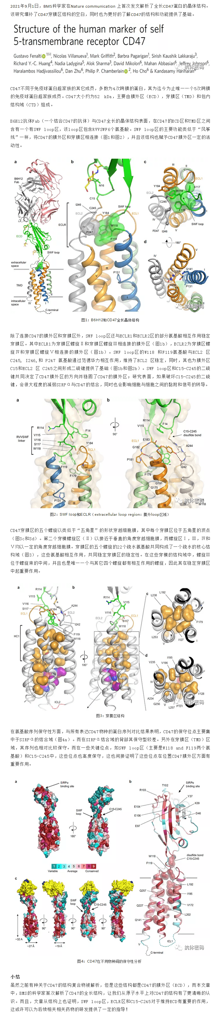 9888À˹ά¼Ó˹(¹É·Ý)ÓÐÏÞ¹«Ë¾-¹Ù·½ÍøÕ¾
