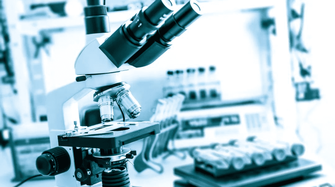 9888À˹ά¼Ó˹(¹É·Ý)ÓÐÏÞ¹«Ë¾-¹Ù·½ÍøÕ¾