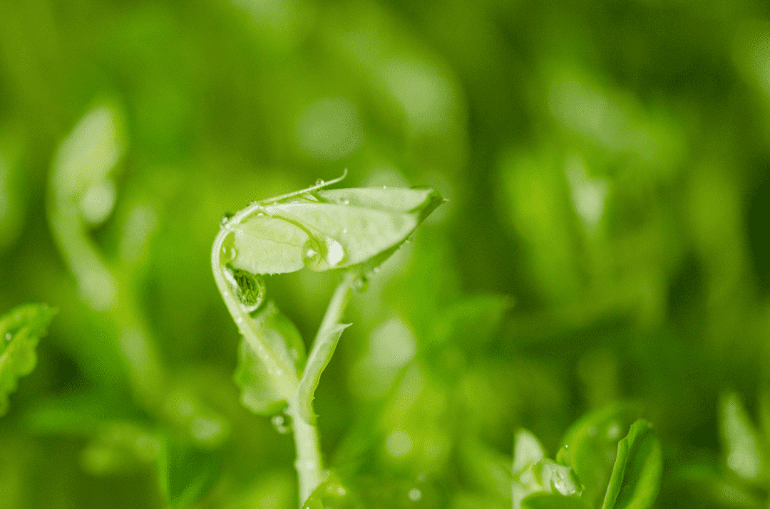 9888À˹ά¼Ó˹(¹É·Ý)ÓÐÏÞ¹«Ë¾-¹Ù·½ÍøÕ¾