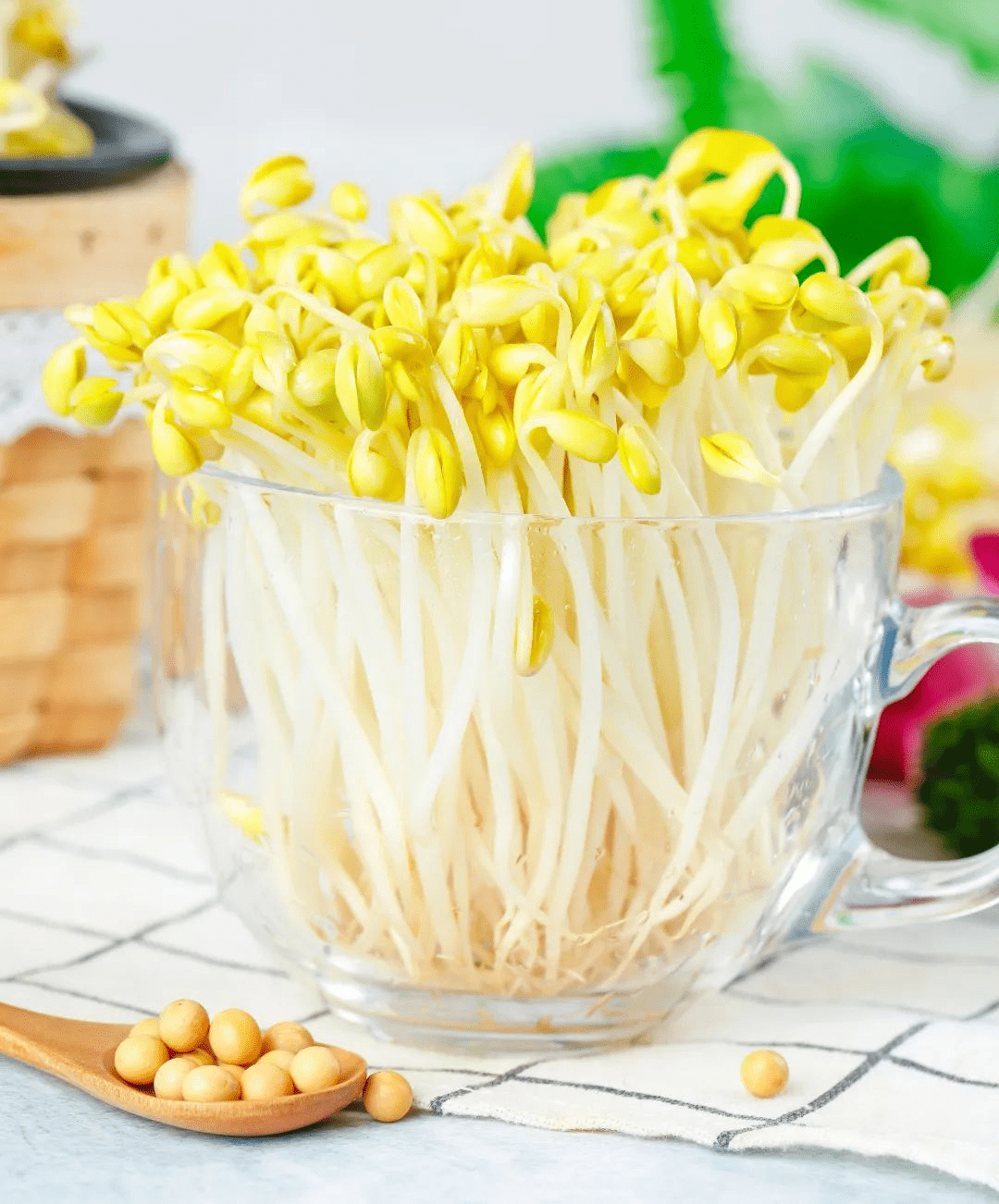 9888À˹ά¼Ó˹(¹É·Ý)ÓÐÏÞ¹«Ë¾-¹Ù·½ÍøÕ¾