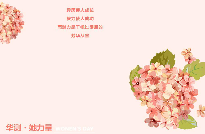 9888˹ά˹(ɷ)޹˾-ٷվ