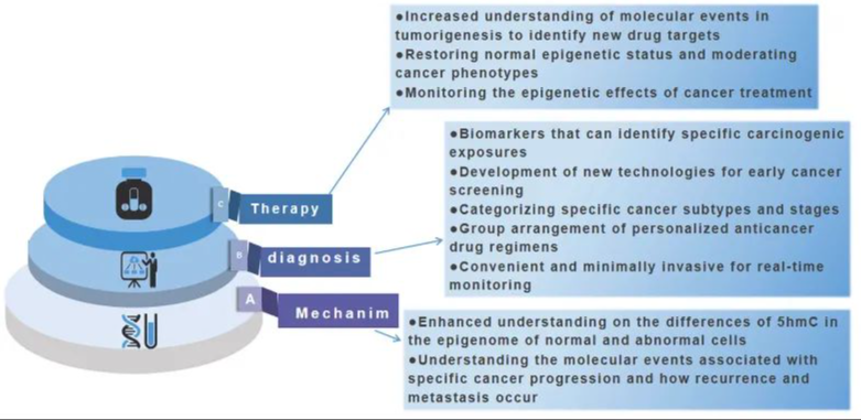 9888��˹ά��˹(�ɷ�)���޹�˾-�ٷ���վ