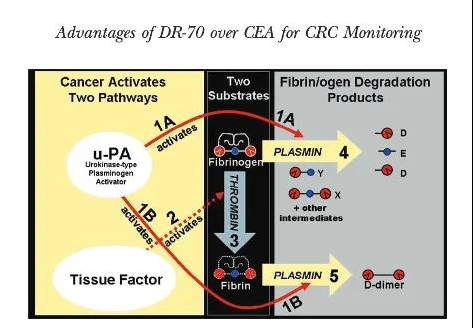 9888��˹ά��˹(�ɷ�)���޹�˾-�ٷ���վ