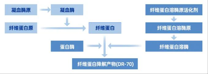 9888��˹ά��˹(�ɷ�)���޹�˾-�ٷ���վ