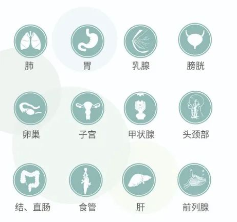 9888��˹ά��˹(�ɷ�)���޹�˾-�ٷ���վ