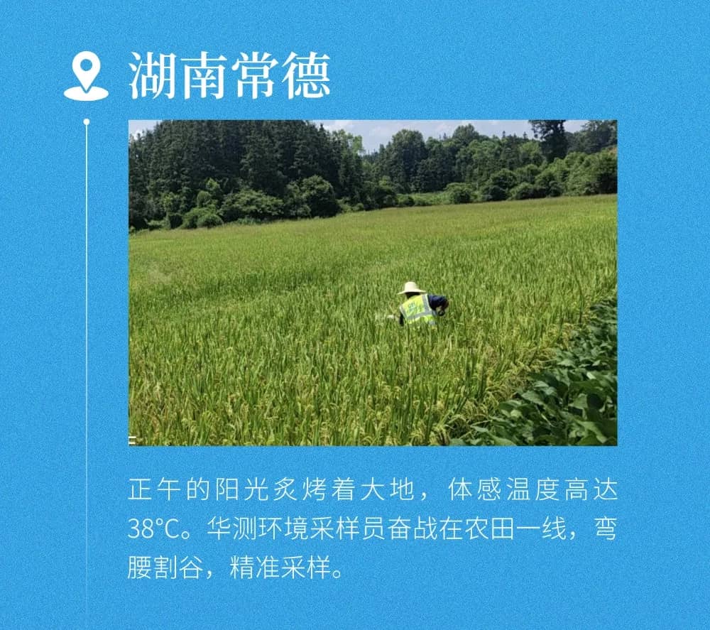 9888À˹ά¼Ó˹(¹É·Ý)ÓÐÏÞ¹«Ë¾-¹Ù·½ÍøÕ¾