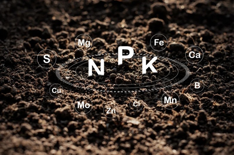 9888��˹ά��˹(�ɷ�)���޹�˾-�ٷ���վ