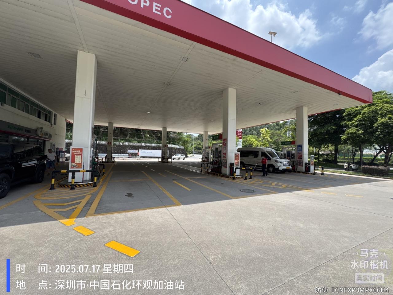 9888À˹ά¼Ó˹(¹É·Ý)ÓÐÏÞ¹«Ë¾-¹Ù·½ÍøÕ¾