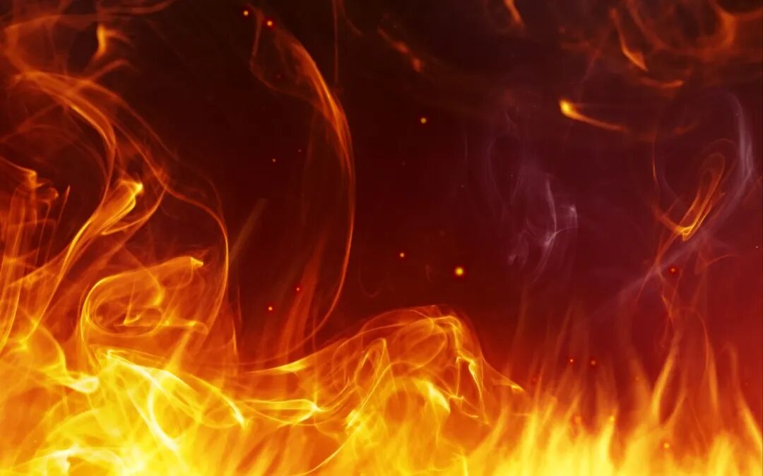 9888À˹ά¼Ó˹(¹É·Ý)ÓÐÏÞ¹«Ë¾-¹Ù·½ÍøÕ¾