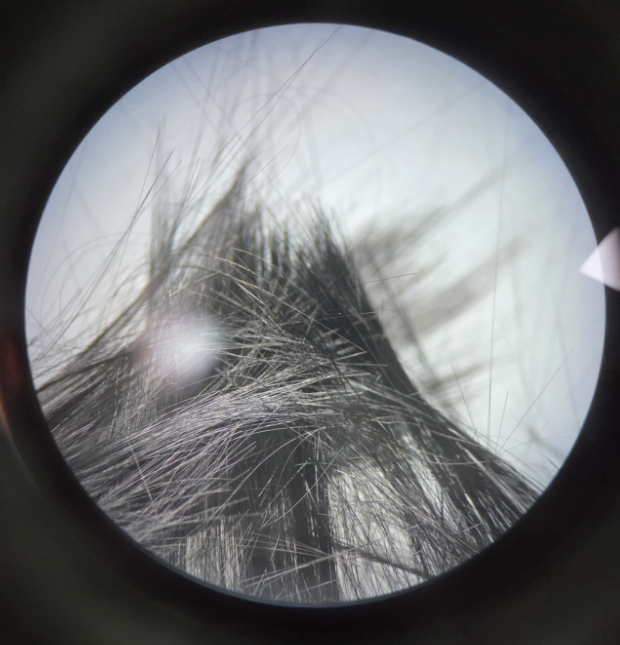 9888��˹ά��˹(�ɷ�)���޹�˾-�ٷ���վ