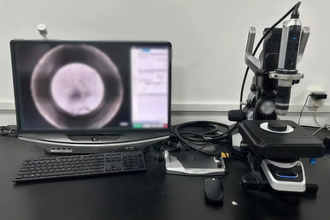 9888��˹ά��˹(�ɷ�)���޹�˾-�ٷ���վ