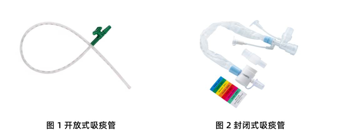 9888À˹ά¼Ó˹(¹É·Ý)ÓÐÏÞ¹«Ë¾-¹Ù·½ÍøÕ¾