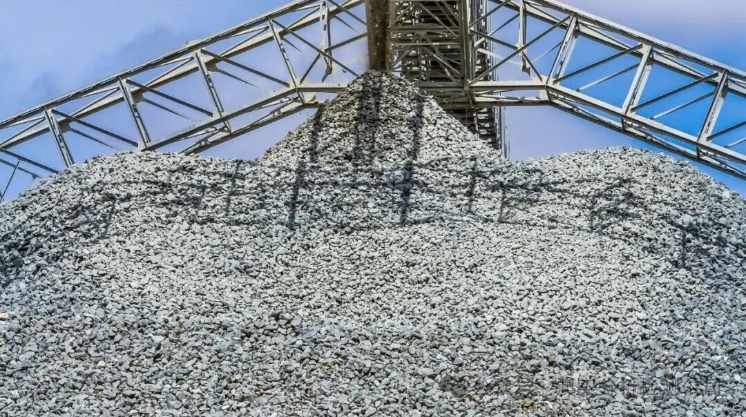 9888À˹ά¼Ó˹(¹É·Ý)ÓÐÏÞ¹«Ë¾-¹Ù·½ÍøÕ¾