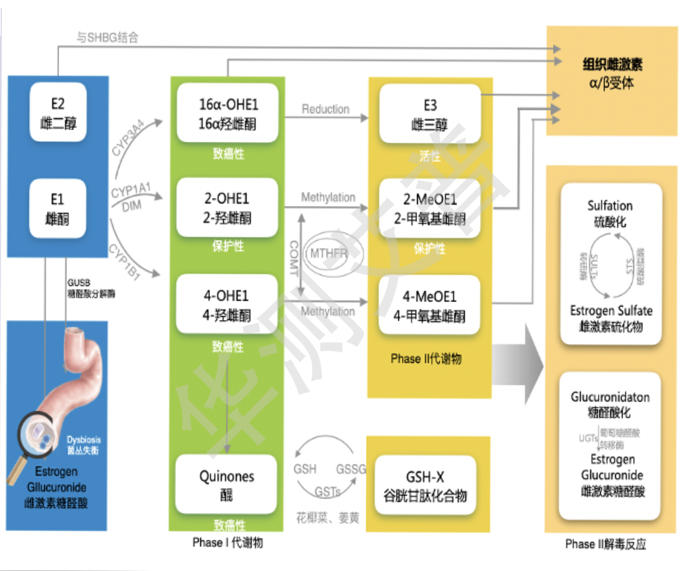 9888��˹ά��˹(�ɷ�)���޹�˾-�ٷ���վ
