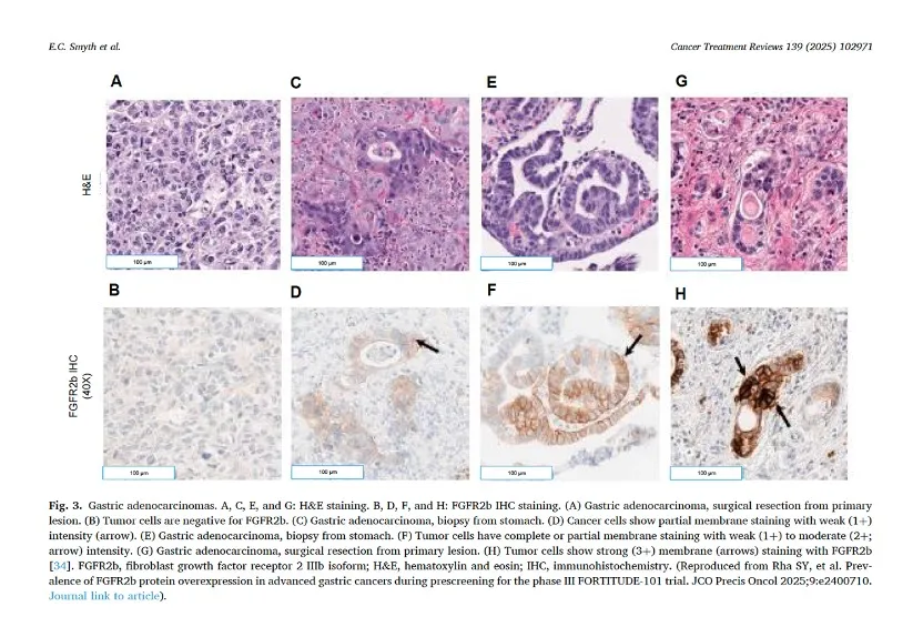 9888À˹ά¼Ó˹(¹É·Ý)ÓÐÏÞ¹«Ë¾-¹Ù·½ÍøÕ¾