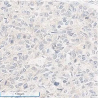 9888À˹ά¼Ó˹(¹É·Ý)ÓÐÏÞ¹«Ë¾-¹Ù·½ÍøÕ¾