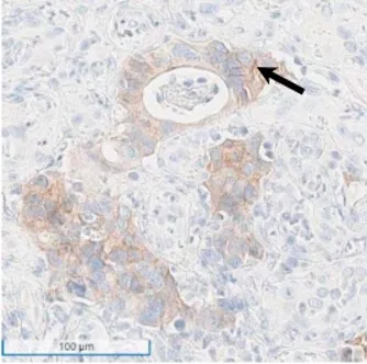 9888À˹ά¼Ó˹(¹É·Ý)ÓÐÏÞ¹«Ë¾-¹Ù·½ÍøÕ¾