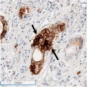 9888À˹ά¼Ó˹(¹É·Ý)ÓÐÏÞ¹«Ë¾-¹Ù·½ÍøÕ¾