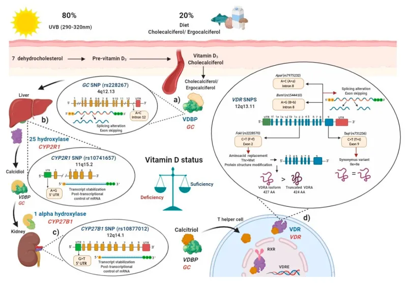 9888À˹ά¼Ó˹(¹É·Ý)ÓÐÏÞ¹«Ë¾-¹Ù·½ÍøÕ¾