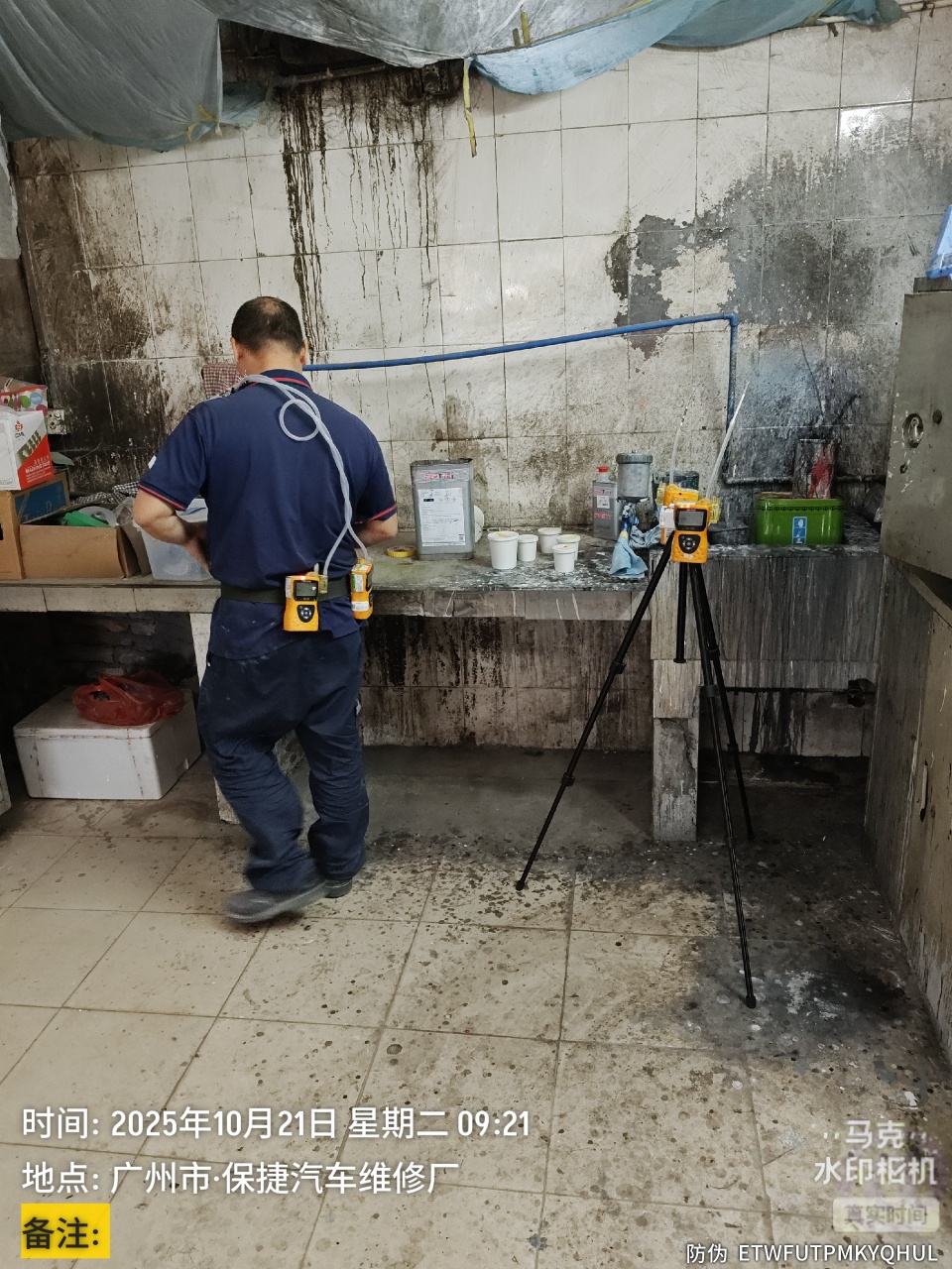 9888À˹ά¼Ó˹(¹É·Ý)ÓÐÏÞ¹«Ë¾-¹Ù·½ÍøÕ¾