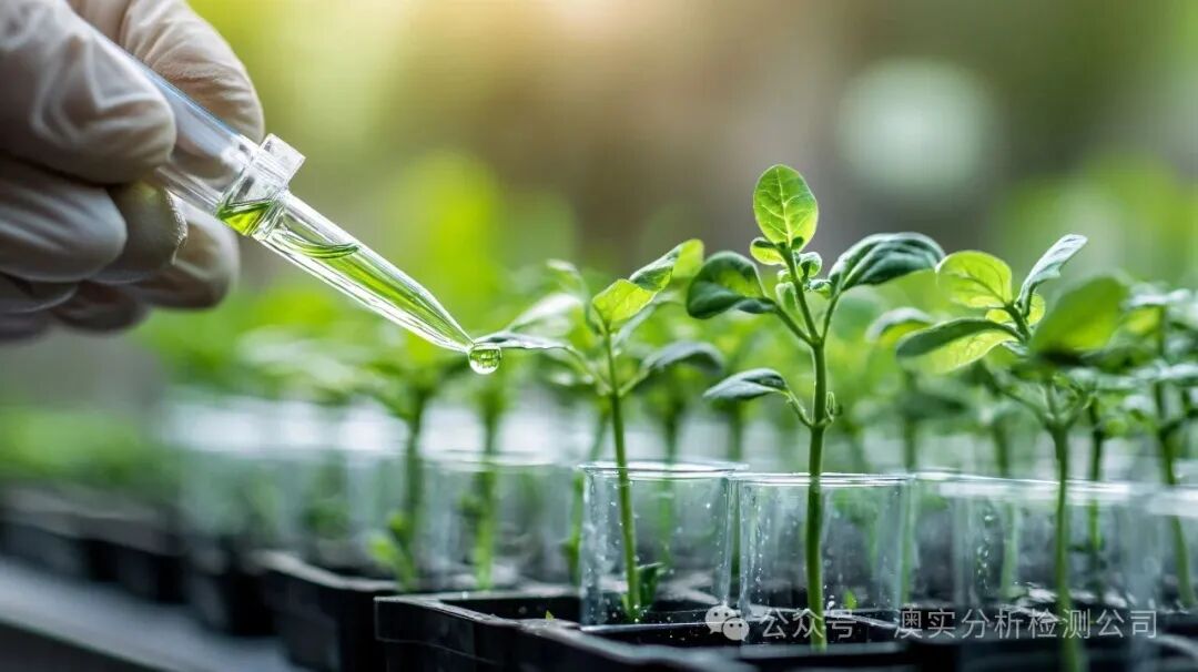 9888À˹ά¼Ó˹(¹É·Ý)ÓÐÏÞ¹«Ë¾-¹Ù·½ÍøÕ¾