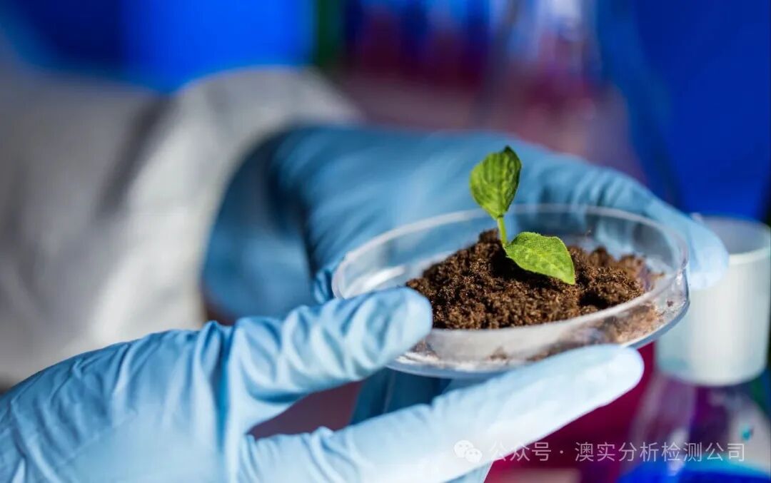 9888À˹ά¼Ó˹(¹É·Ý)ÓÐÏÞ¹«Ë¾-¹Ù·½ÍøÕ¾