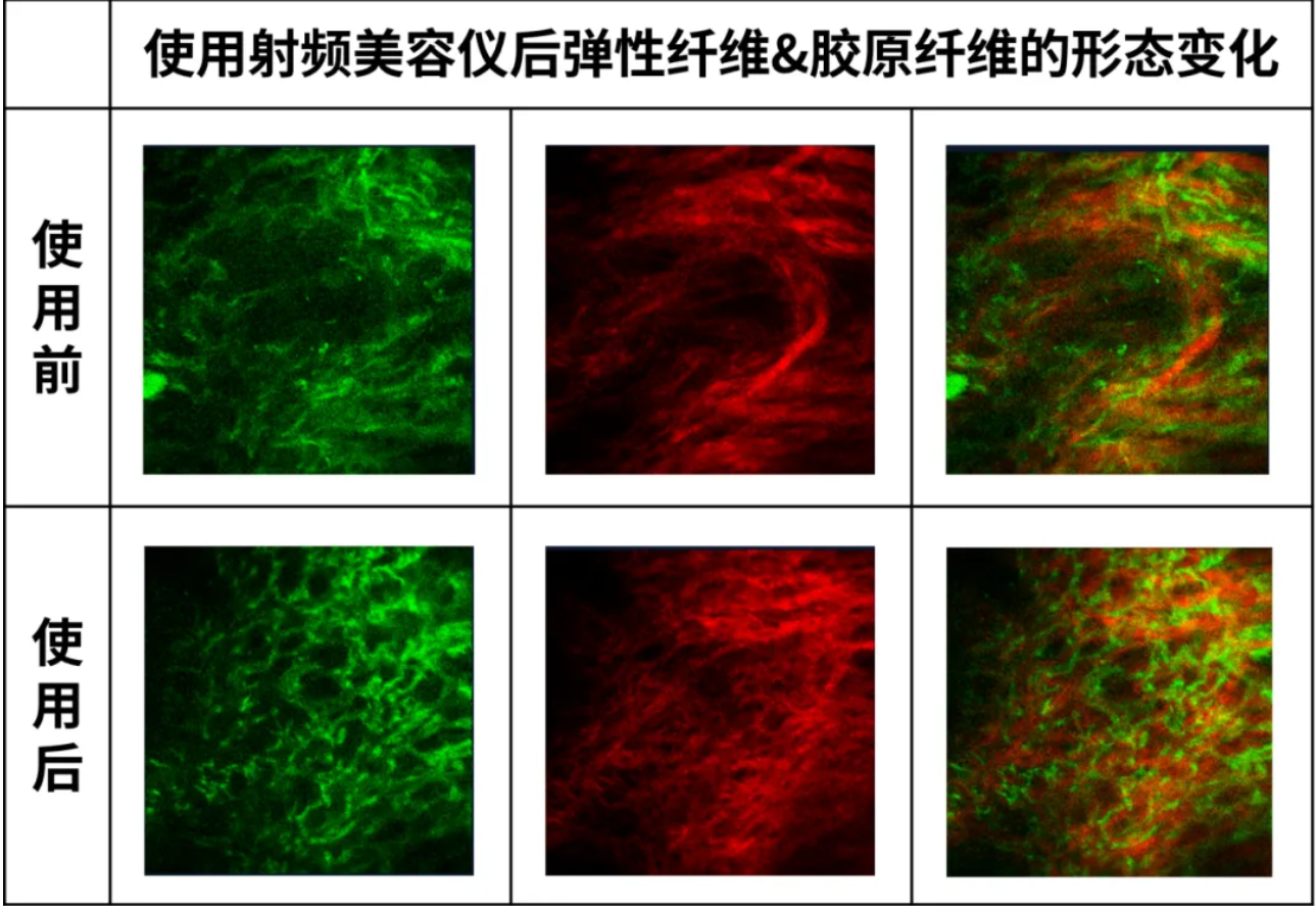 9888��˹ά��˹(�ɷ�)���޹�˾-�ٷ���վ
