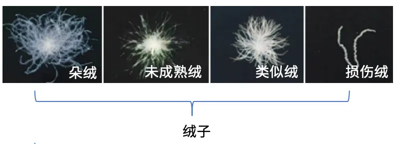 9888��˹ά��˹(�ɷ�)���޹�˾-�ٷ���վ