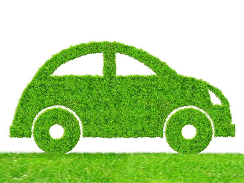 ELV